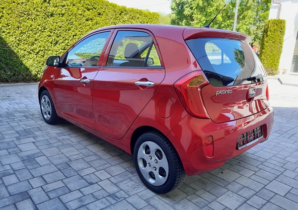 Kia Picanto cena 21900 przebieg: 44000, rok produkcji 2011 z Jarocin małe 172